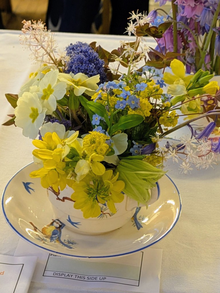 Highly Commended in Class 11: Teacup floral display CABAHS Spring Show 2026