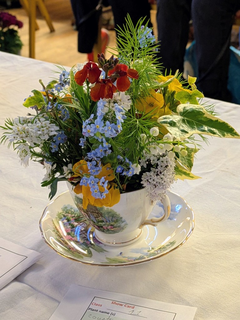 Best in Class 11: Teacup floral display CABAHS Spring Show 2026