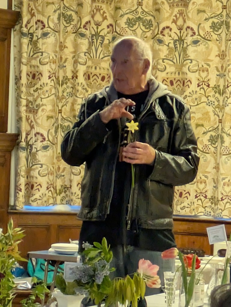 Judge John Hughes sharing tips on showing Narcissi CABAHS Spring Show 2026