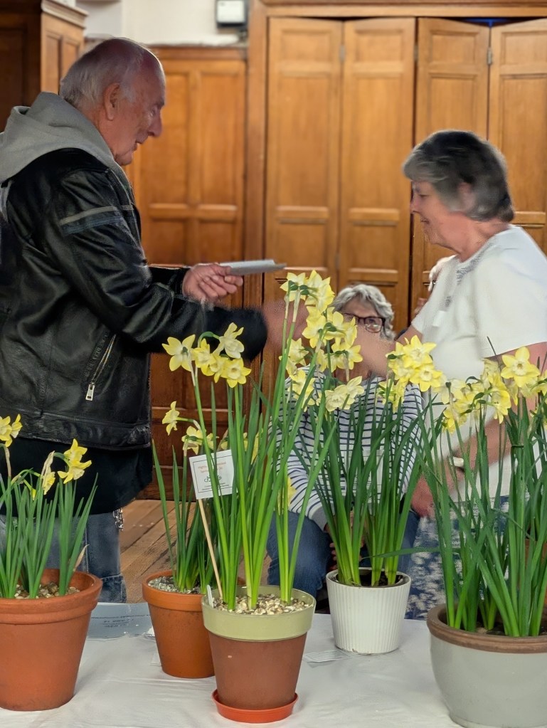 Wendy receiving her 'Best in Class 11' certificate from John Hughes CABAHS Spring Show 2026