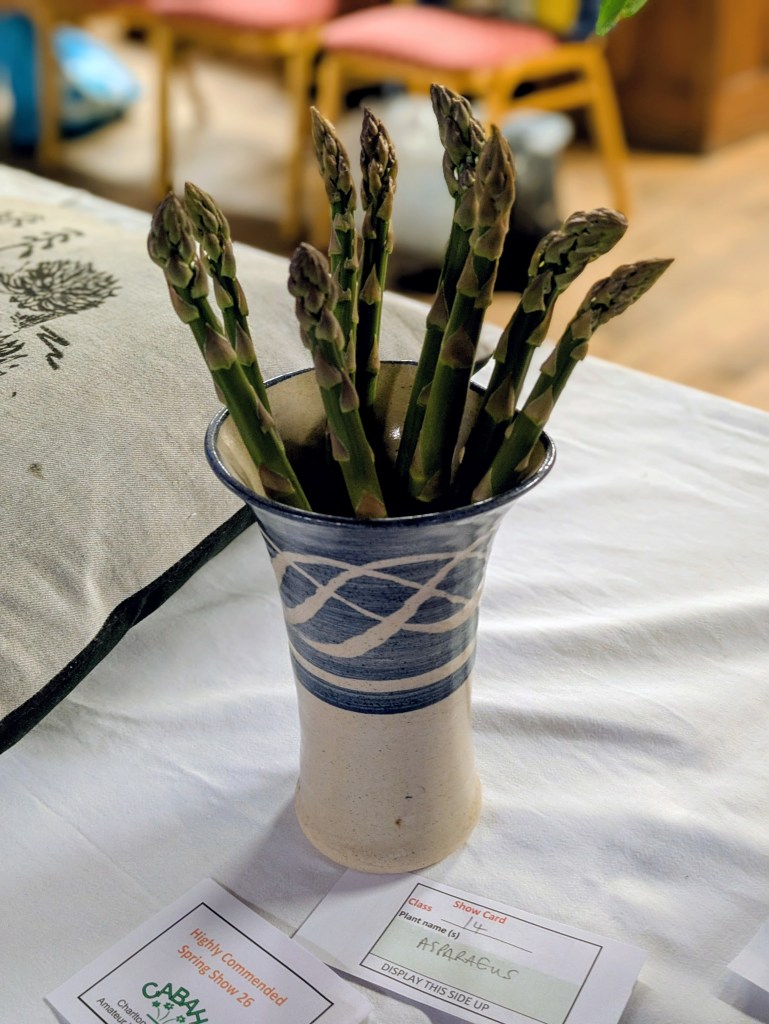 Highly Commended in Class 14: The Wildcard CABAHS Spring Show 2026