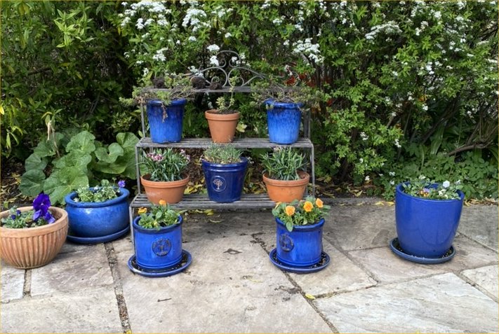 Pots of pansies and heuchera provided colour by The Gatehouse, April 2026