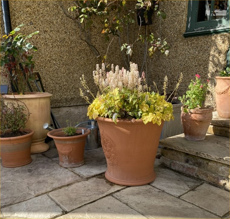 Pots of pansies and heuchera provided colour by The Gatehouse, April