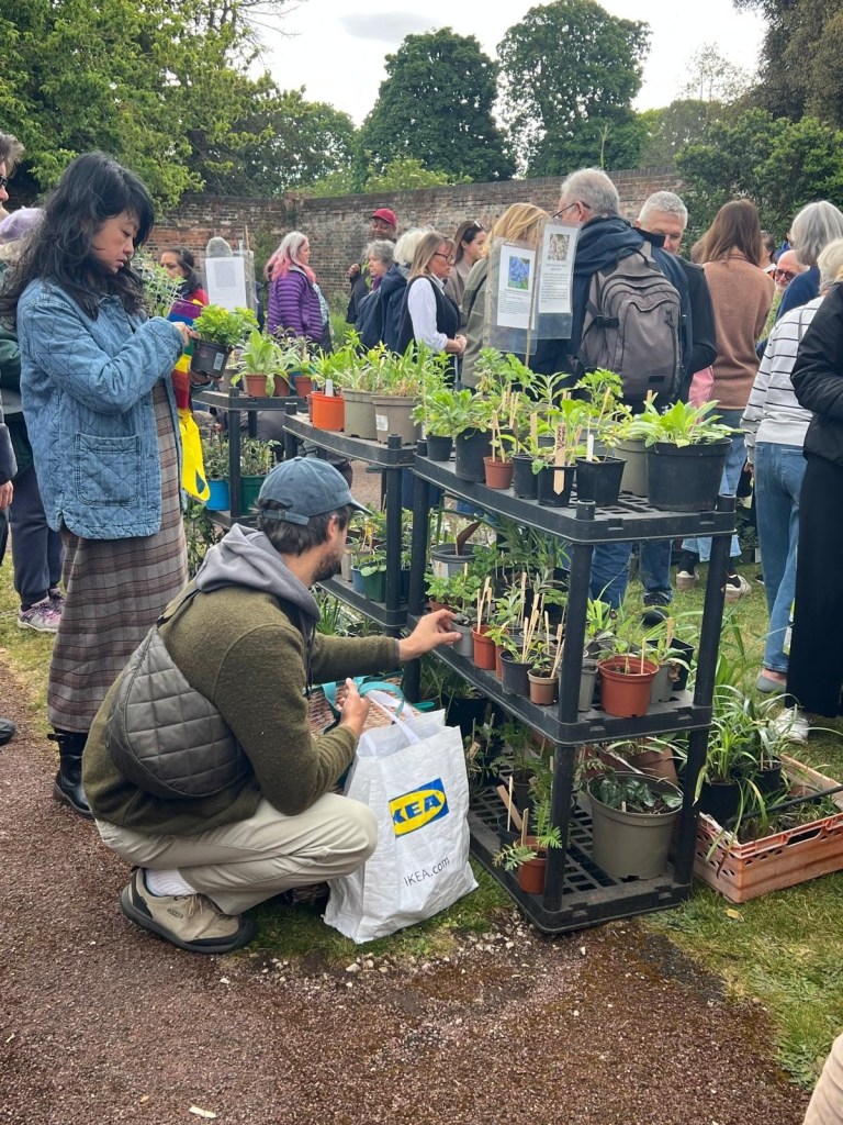 Choosing a plant