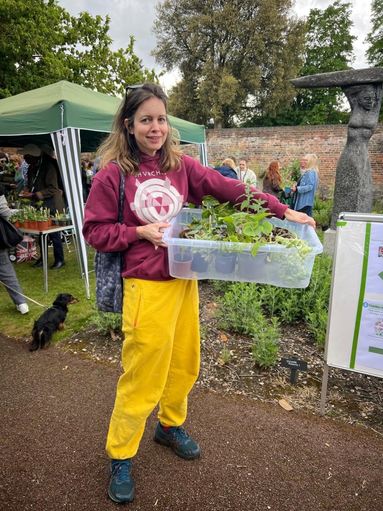 A bucket load of plants