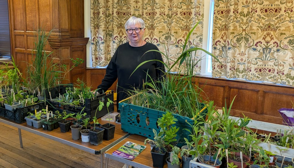 A few leftover bargains from the Plant Sale were snapped up the day after