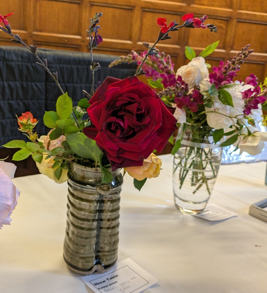 Roses and Salvia on the Show Table, May 2026