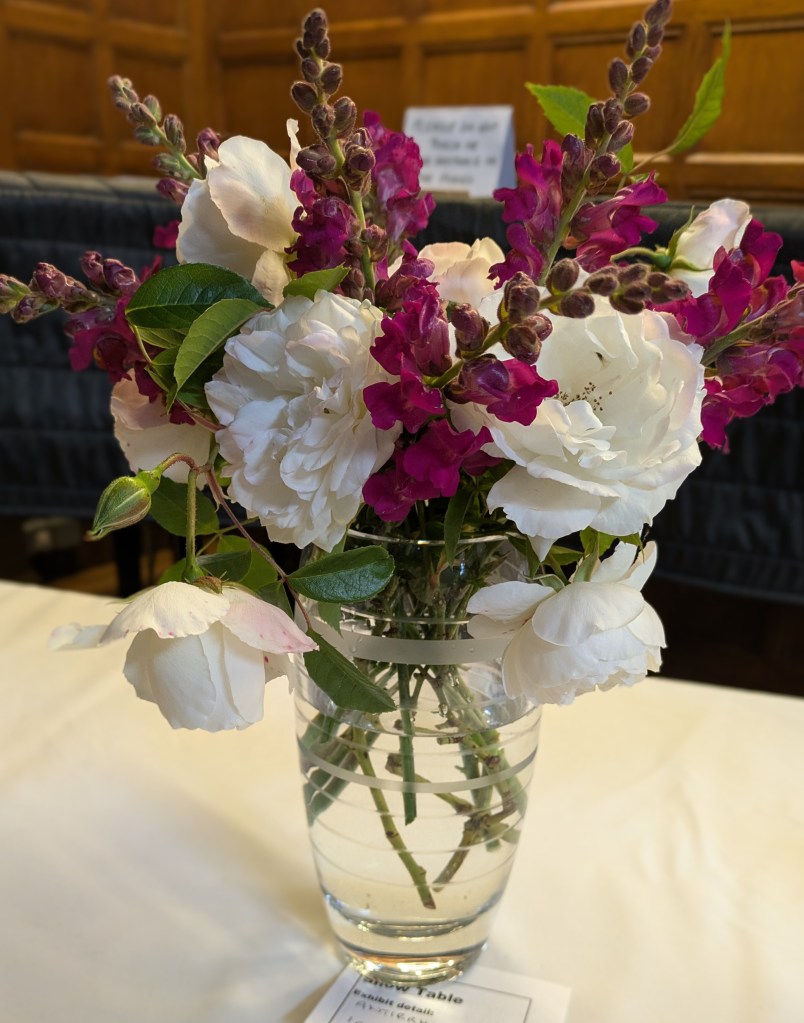 Roses and Antirrhinum on the Show Table, May 2026