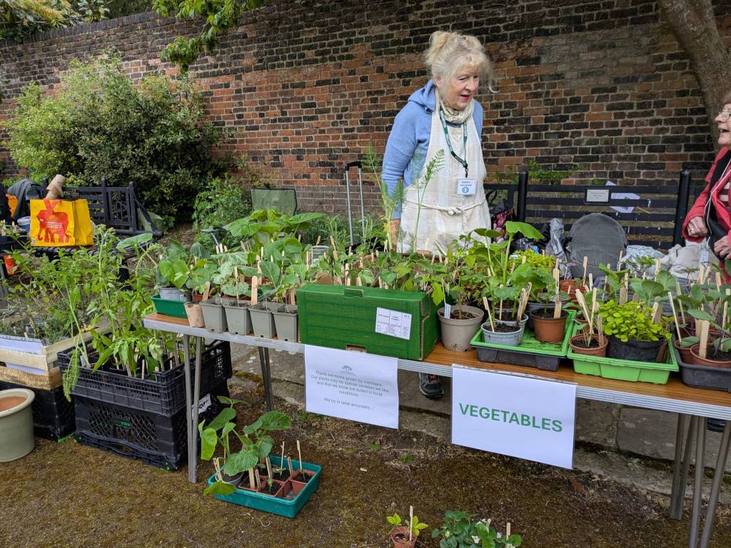 Selling the veg