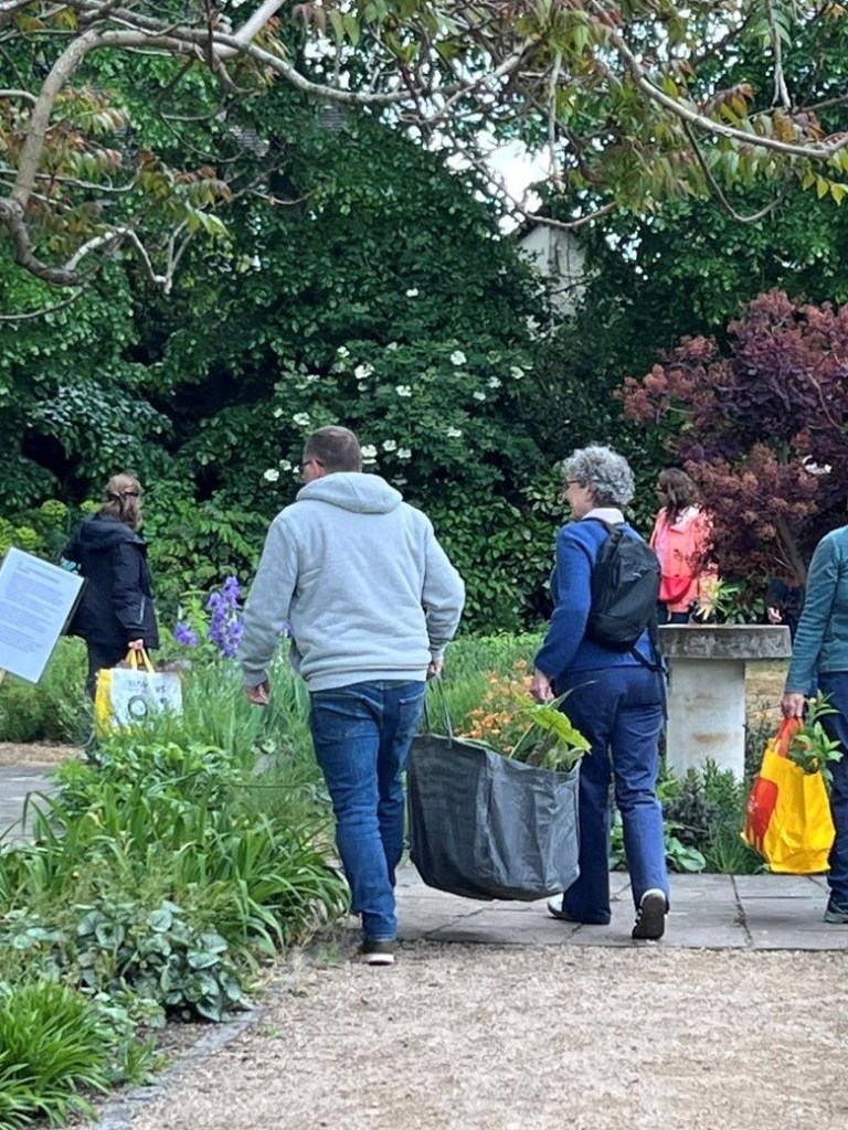 A sack full of plants
