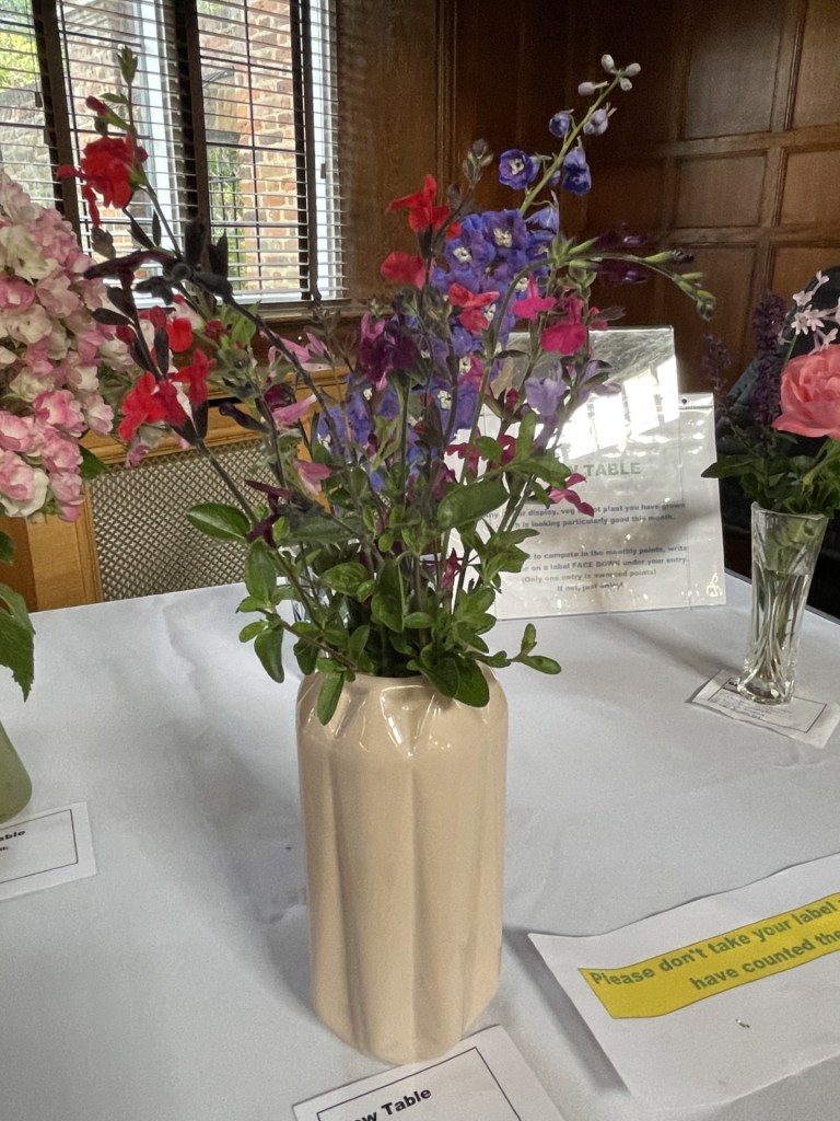 Salvias and Delphiniums on the Show Table, June 2026