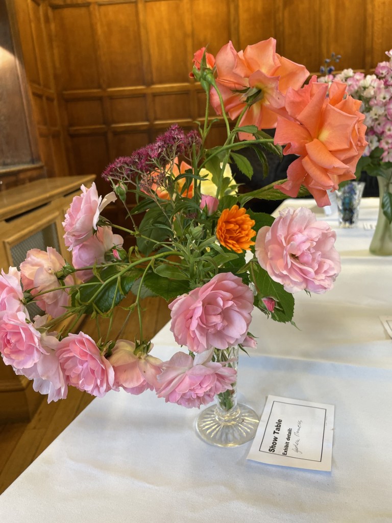 Beautiful colours on the Show Table, June 2026