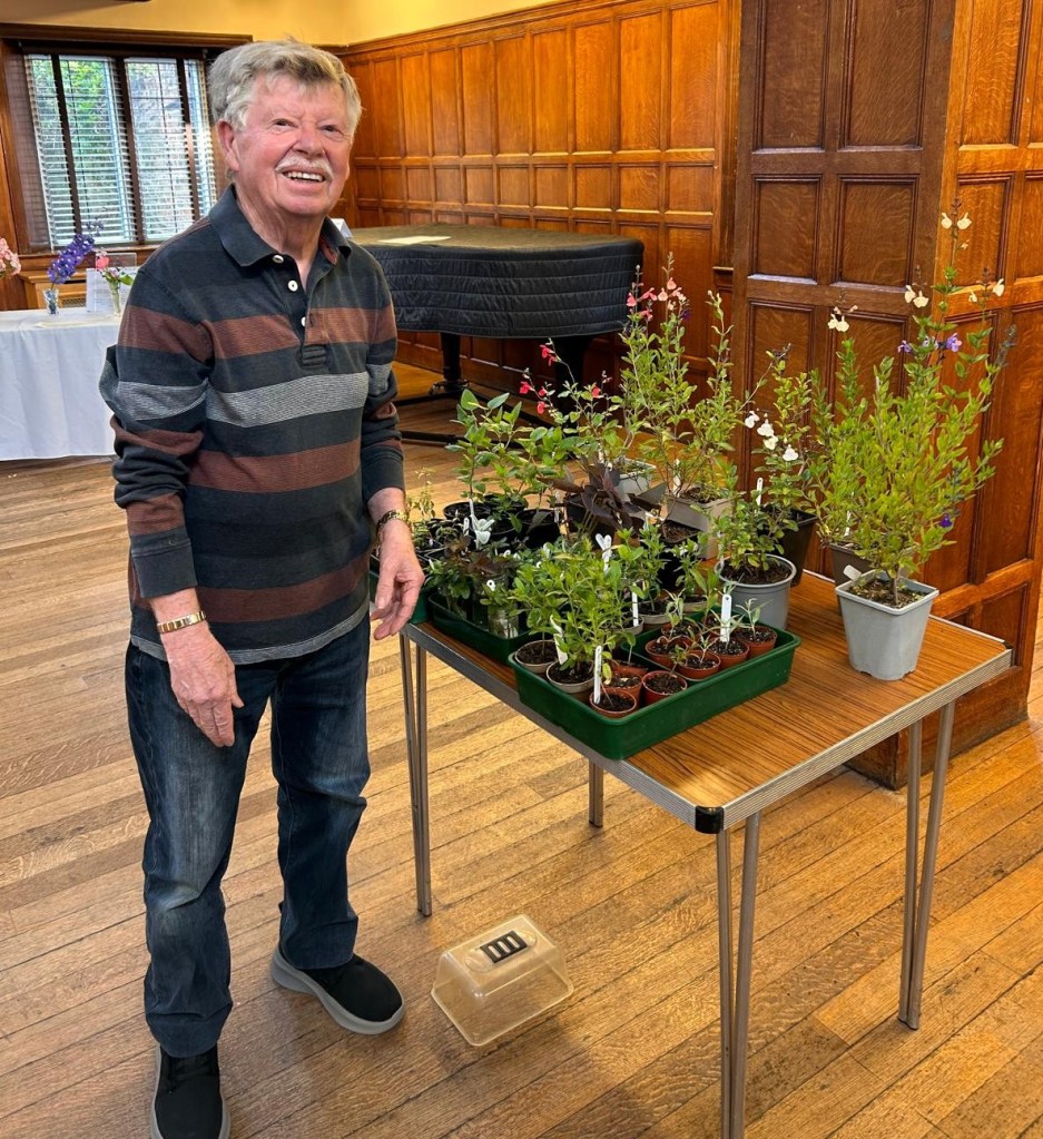 Terry advises on Salvia propagation from cuttings, June 2026