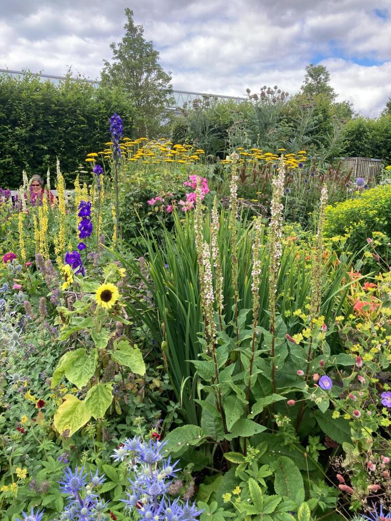 The Cottage Garden. Hyde Hall July 2026