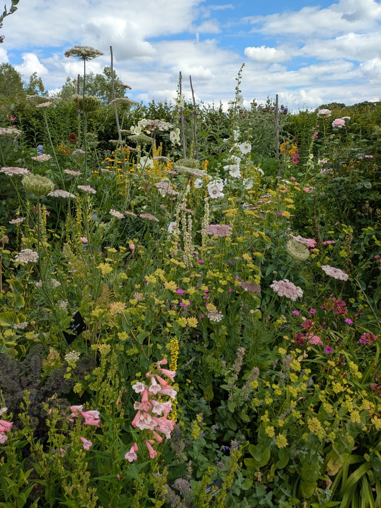 The Cottage Garden. Hyde Hall July 2026