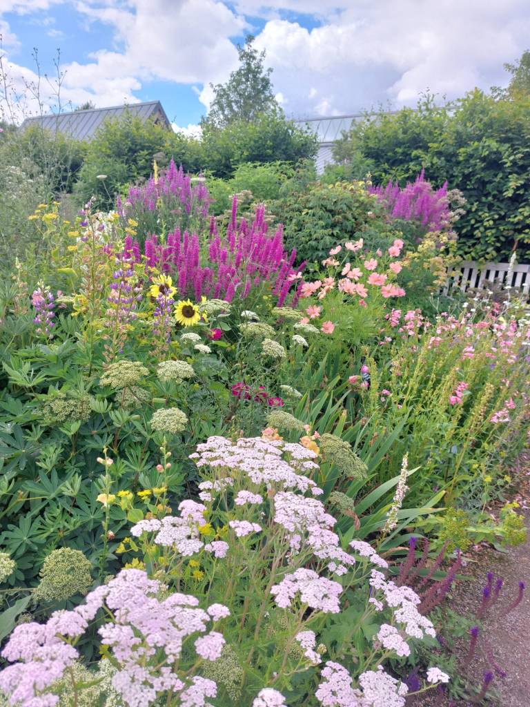 The Cottage Garden. Hyde Hall July 2026