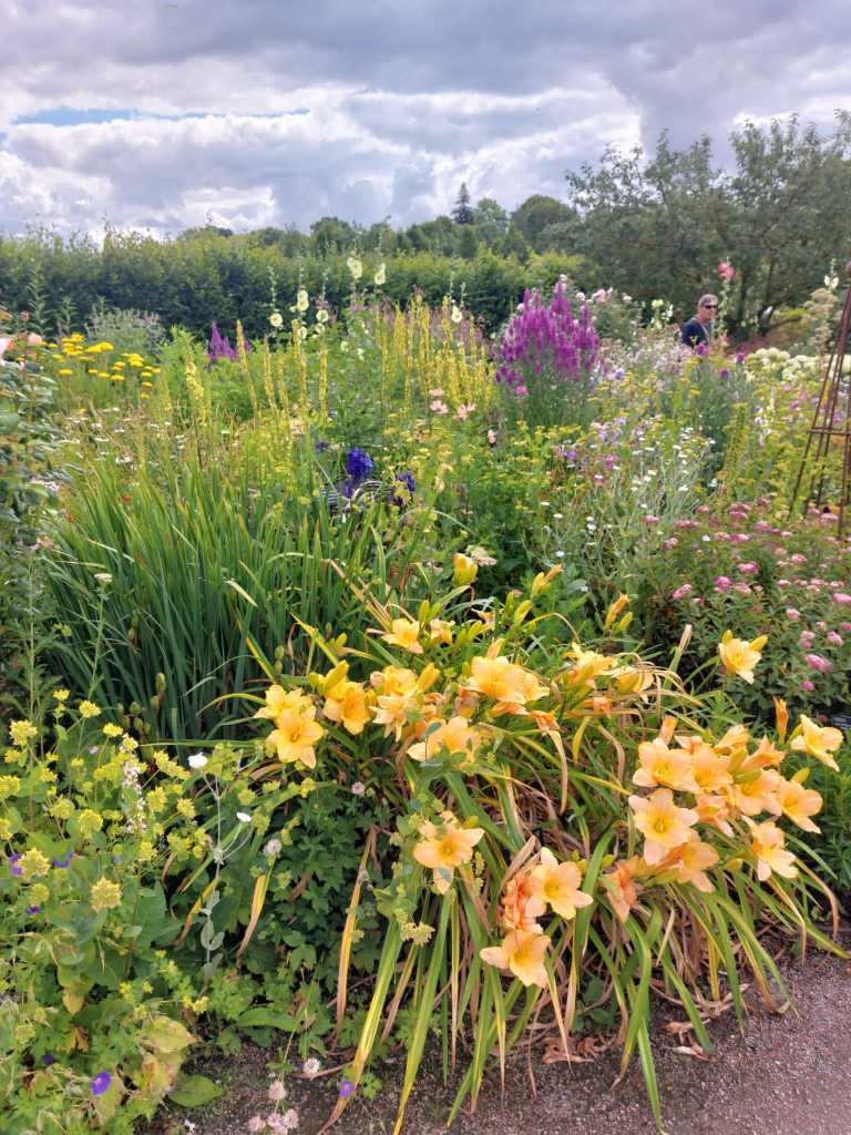 The Cottage Garden. Hyde Hall July 2026