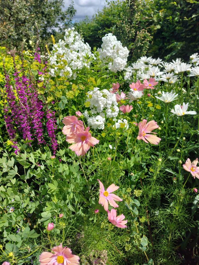The Cottage Garden. Hyde Hall July 2026