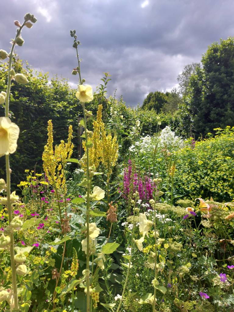The Cottage Garden. Hyde Hall July 2026