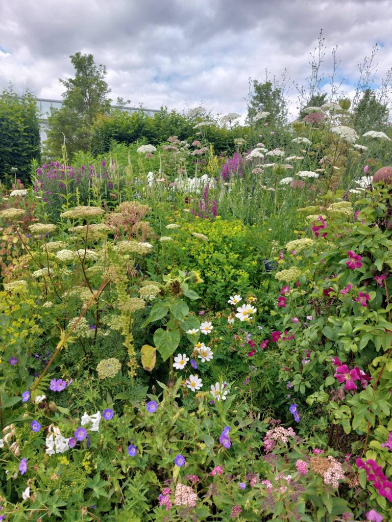 The Cottage Garden. Hyde Hall July 2026