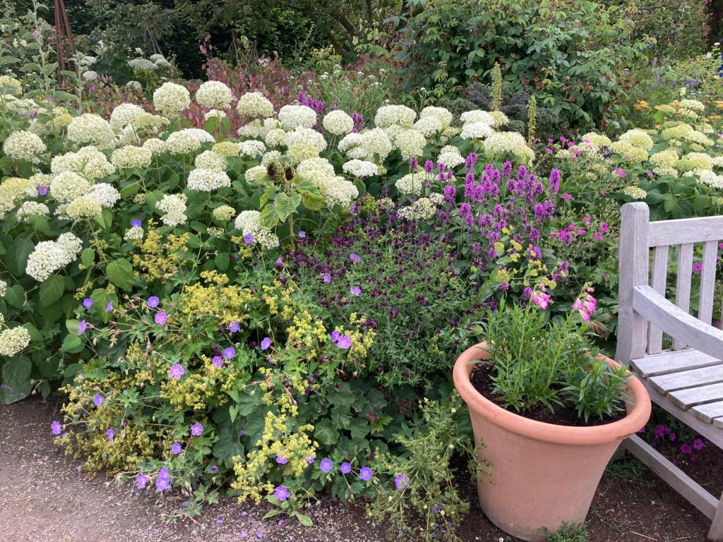 Planting combinations. Hyde Hall July 2026