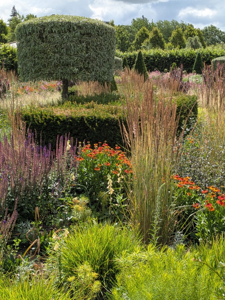 Modern Country Garden. Hyde Hall July 2026