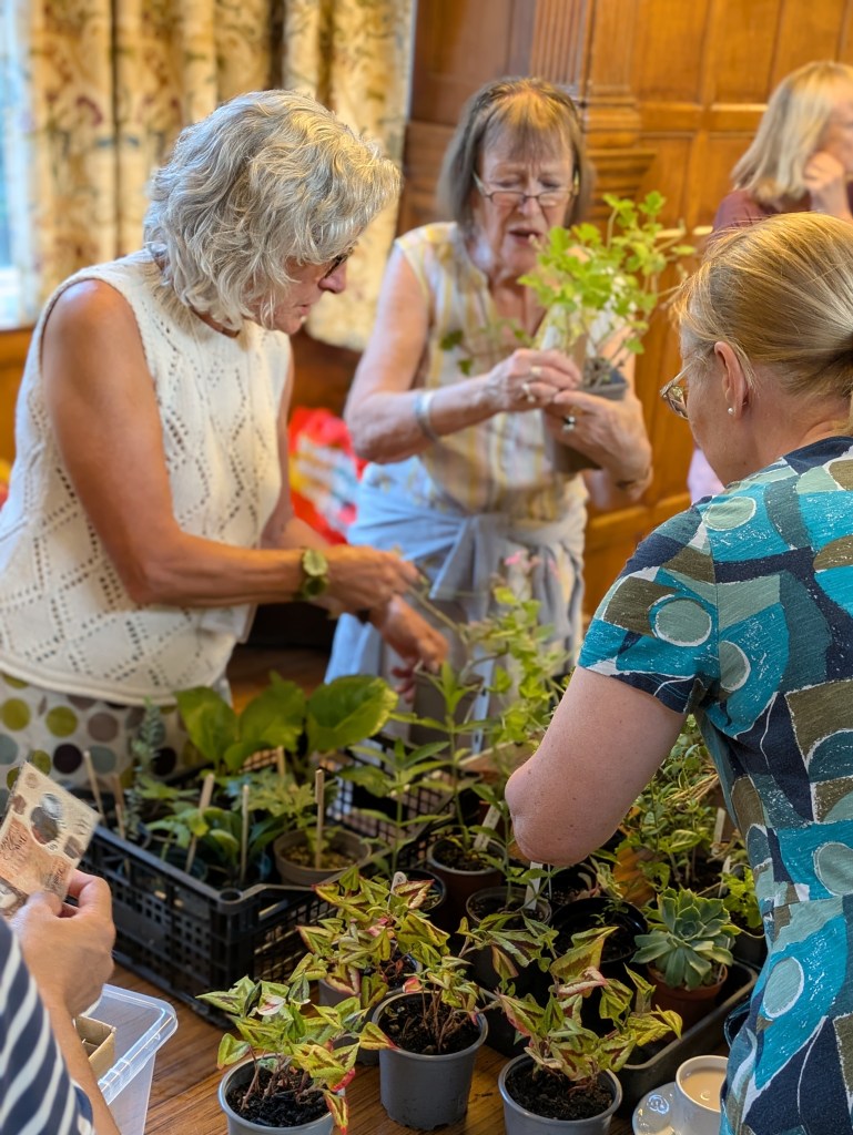 A busy plants sales table, CABAHS July 2026