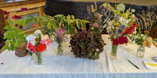 Show Table July 2026