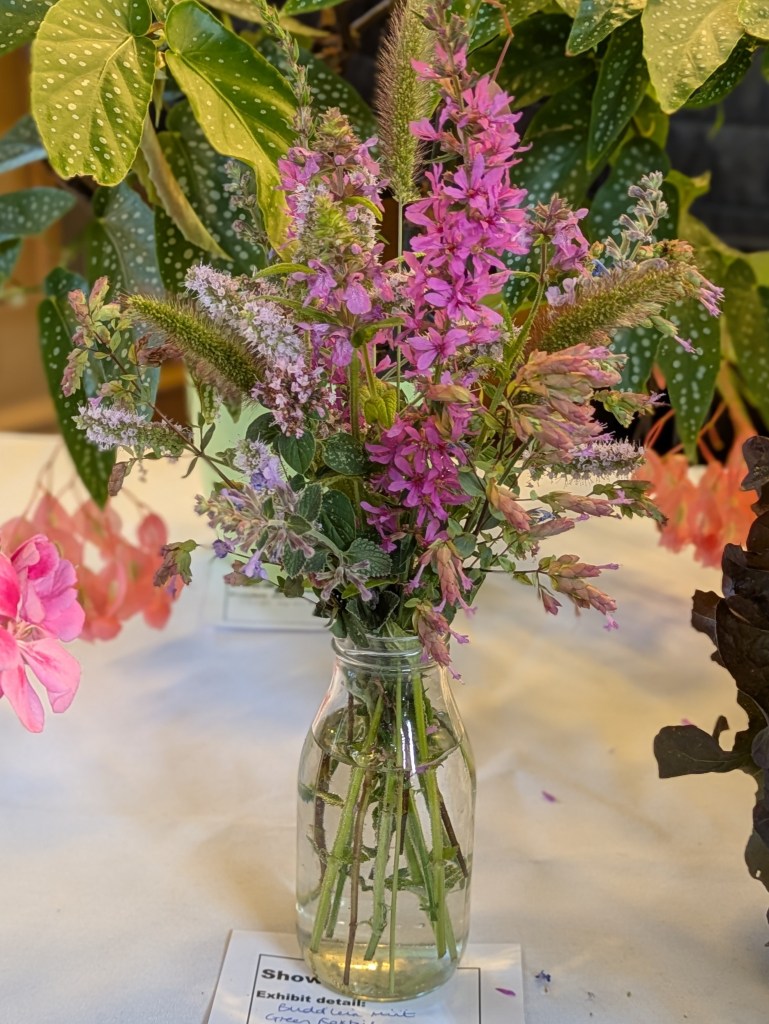 A summer selection on the Show Table, July 2026