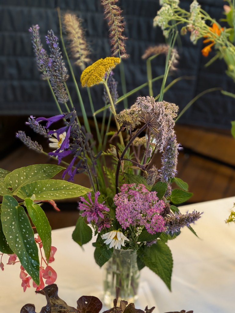 A summer selection on the Show Table, July 2026