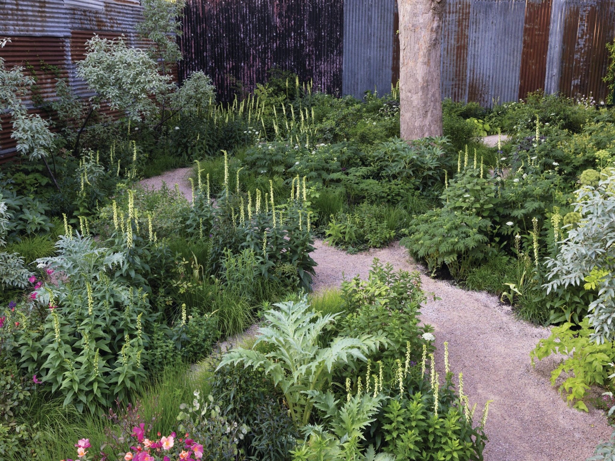 Back garden at the Exchange. Photo: The Exchange Erith