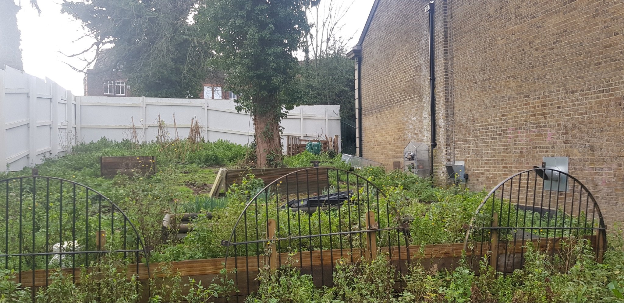 Back garden at the Exchange, pre 2021. Photo: The Exchange Erith