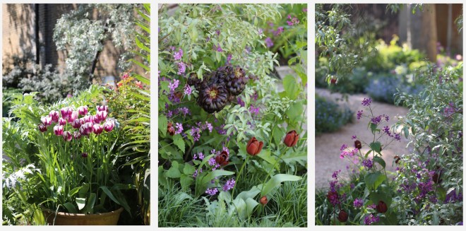 Spring flowers at the Exchange. Photos: The Exchange Erith