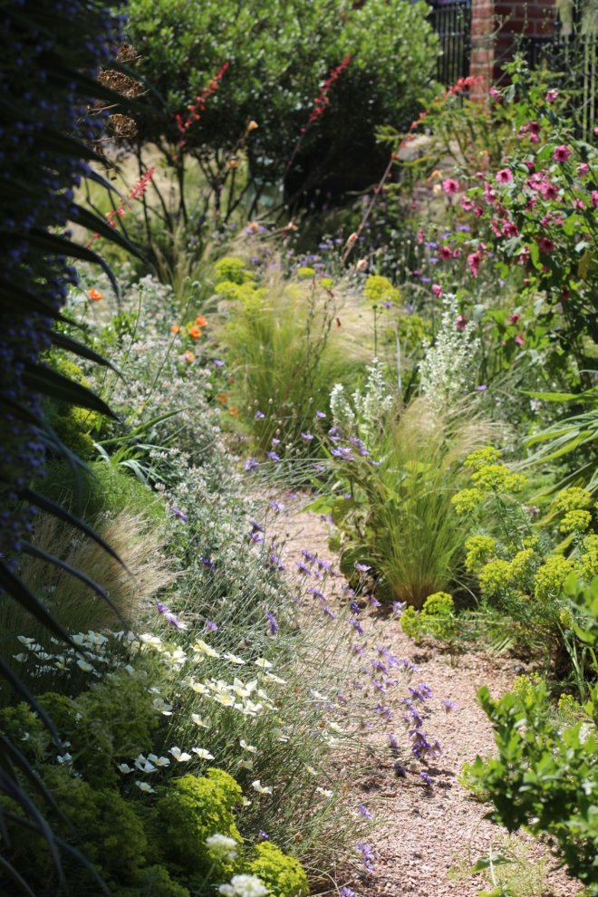 The Dry Garden at the Exchange. Photo: The Exchange Erith