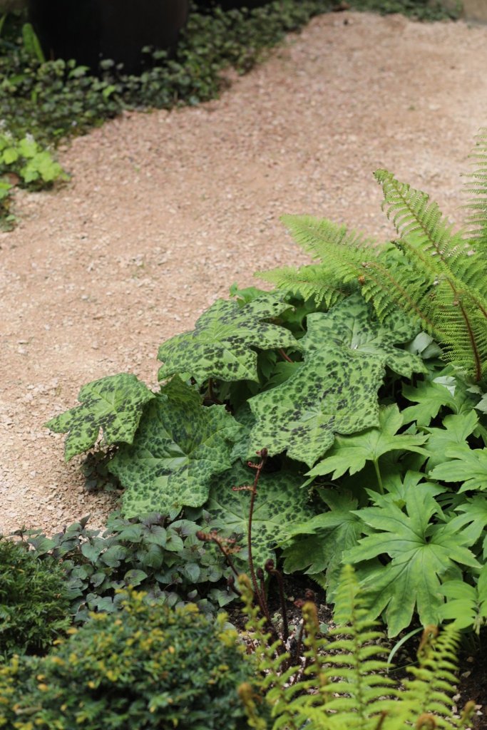 Fern Yard detail at the Exchange. Photo: The Exchange Erith