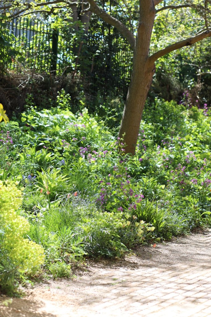 The Mulberry Bank at the Exchange. Photo: The Exchange Erith