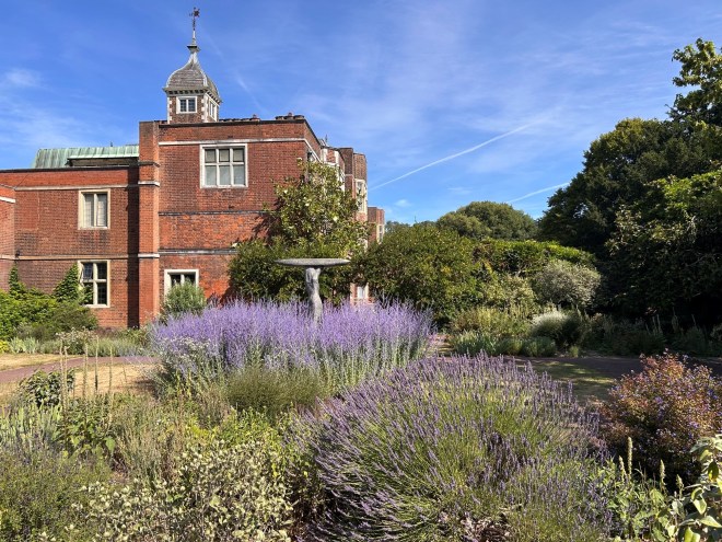 Charlton House Peace Garden, July 2026 Pomegranate, Magnolia grandiflora and perovskia are all winners