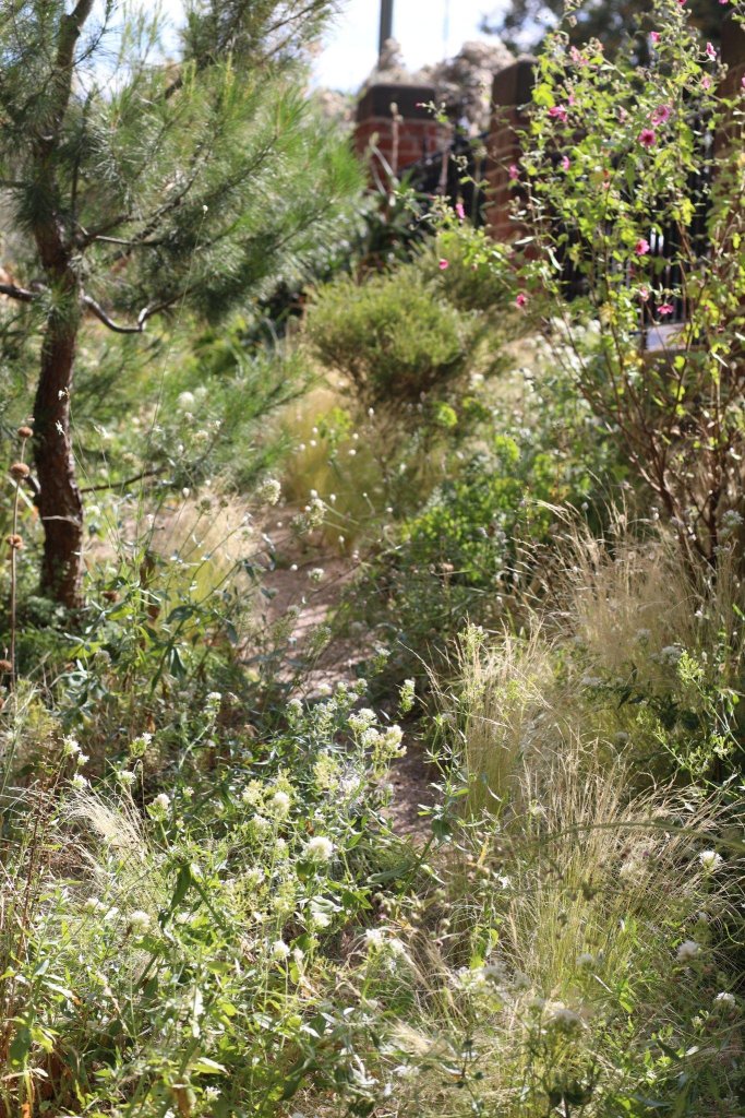 The Pine Slope at the Exchange. Photo: The Exchange Erith