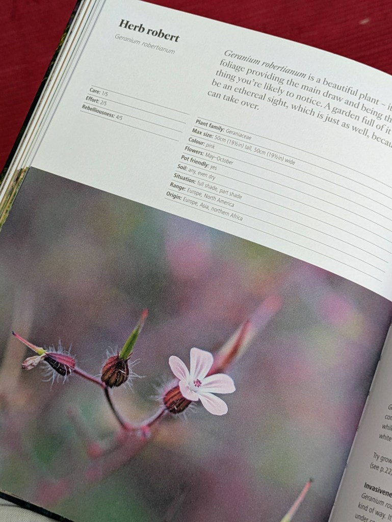 Sample page from 'Wild about Weeds: Garden Design with Rebel Plants', by Jack Wallington (2020)