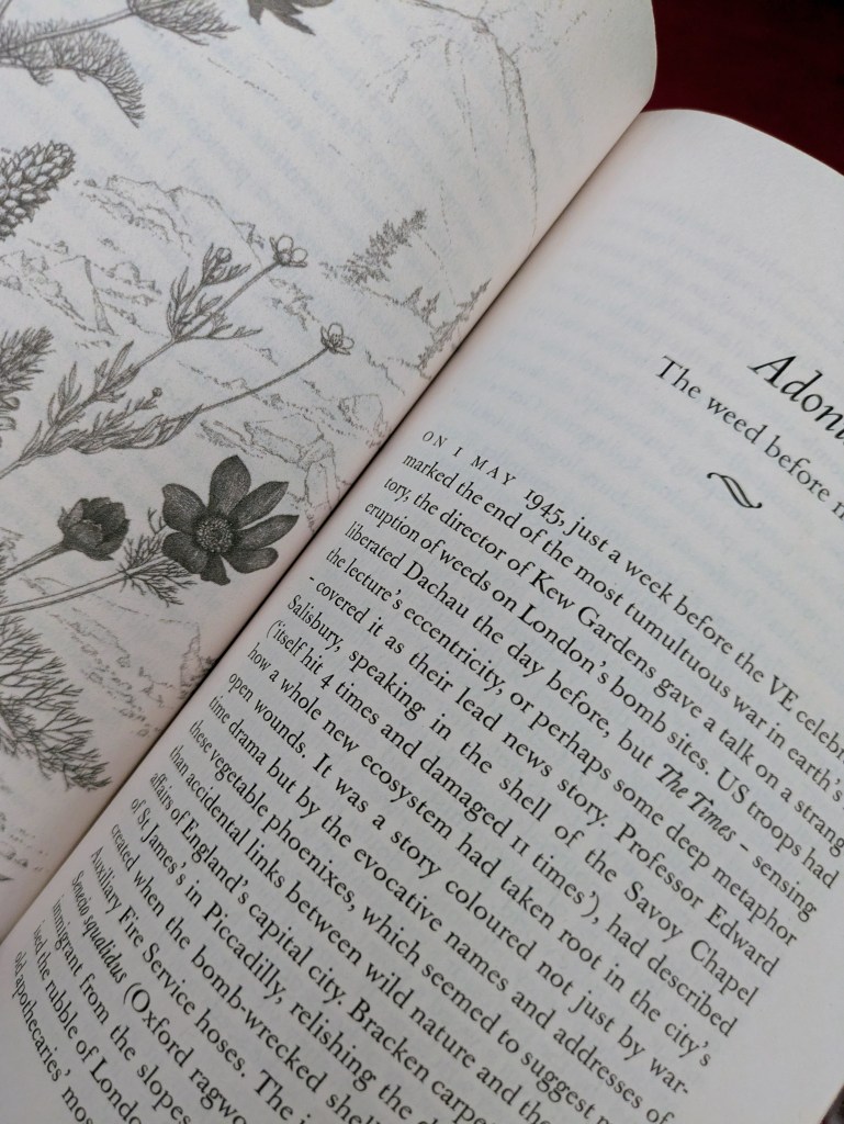 Sample page from 'Weeds: The Story of Outlaw Plants', by Richard Mabey (2010)