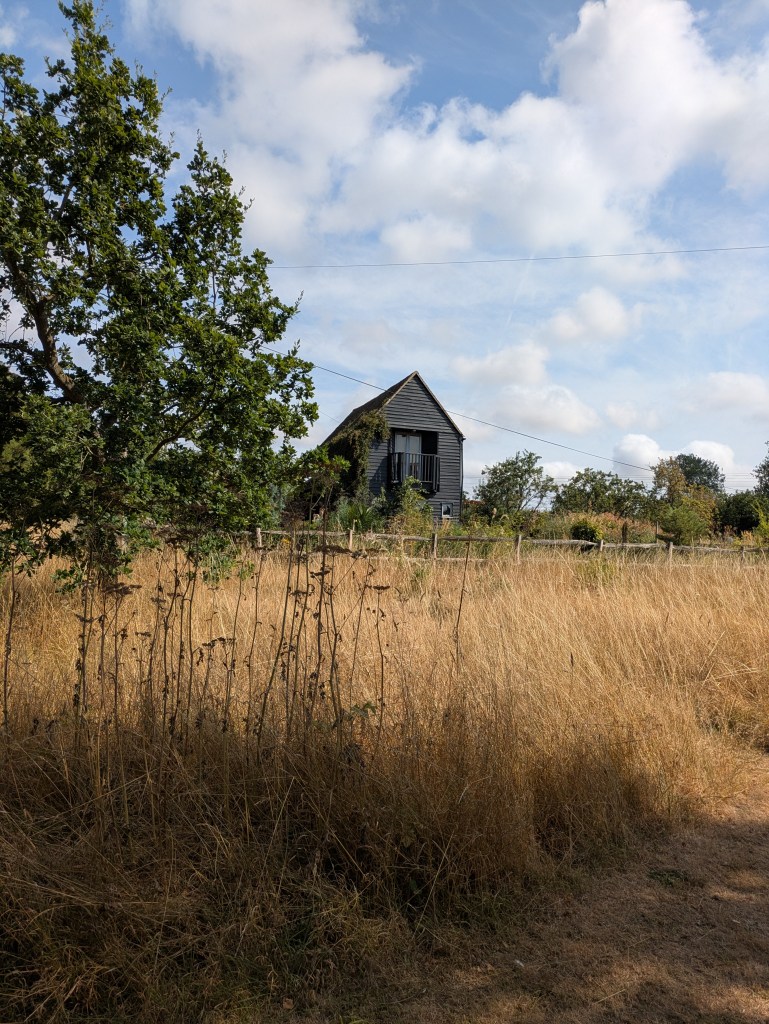 From the meadow. Andrew Salter's garden, 15 August 2026
