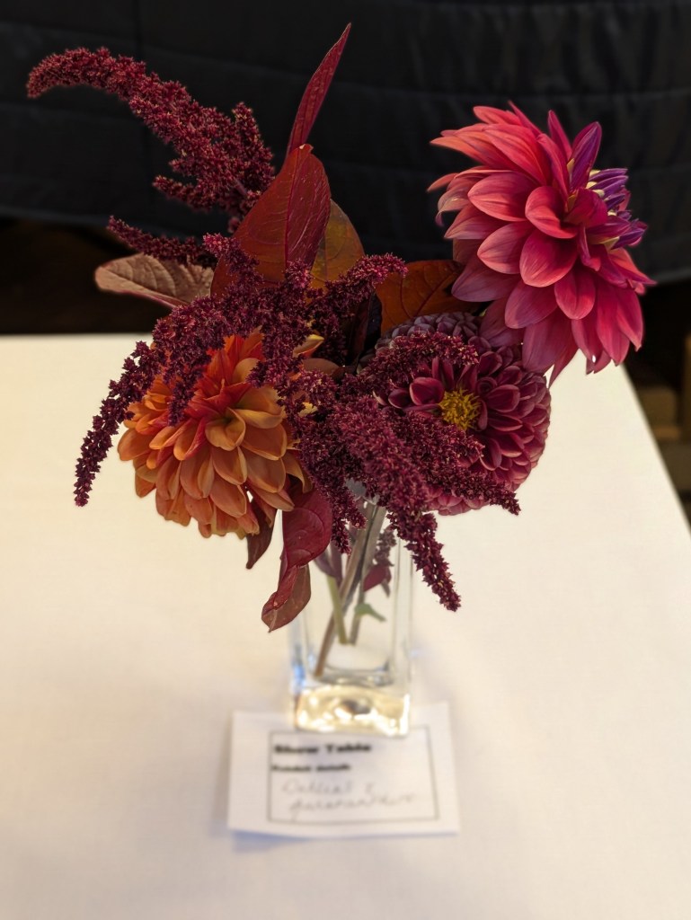 Dahlias and Amaranth - best on the Show Table, August 2026
