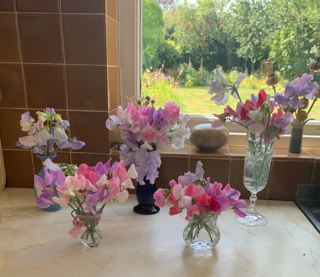 Class 15 2026: a display of plants on a table