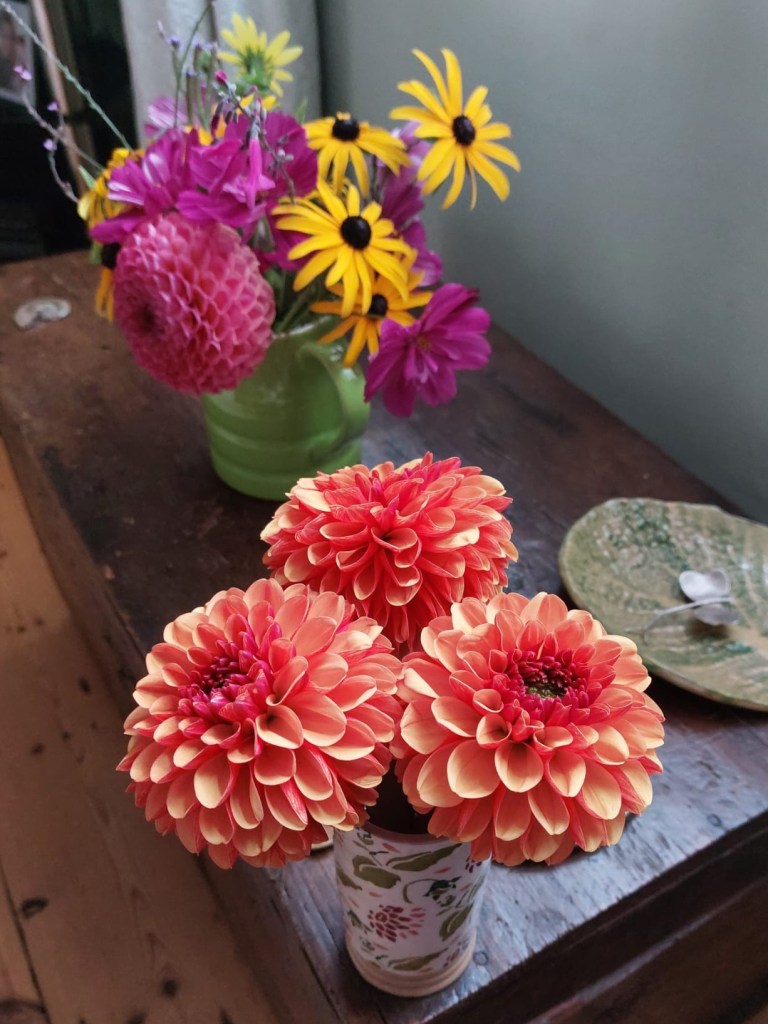 Pat's Dahlias