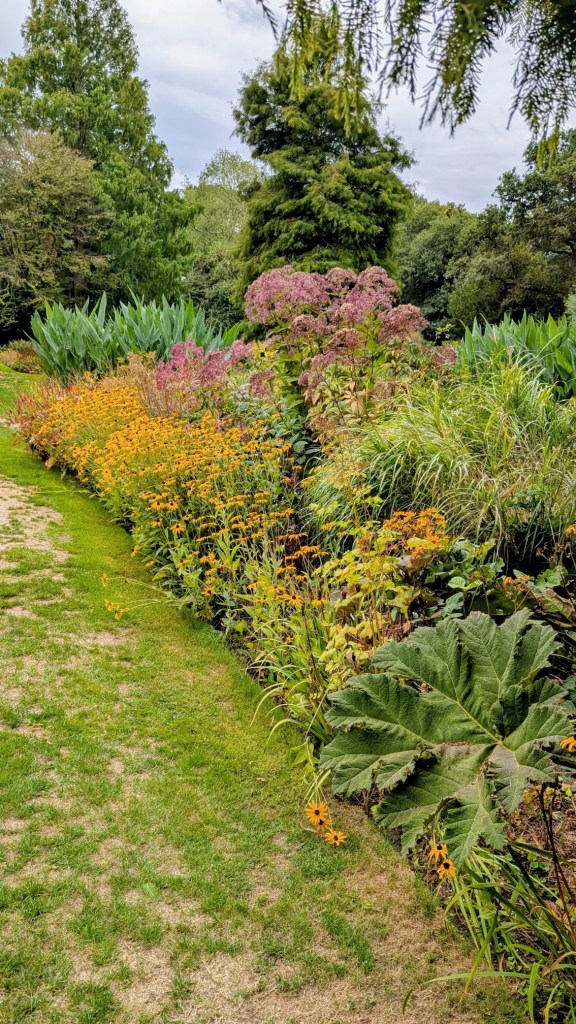 Edge of the Water Garden. Beth Chatto's, September 2026 Edge of the Water Garden. Beth Chatto's, September 2026