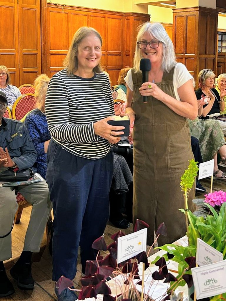 Best in the Fuchsia Class winner Stella receives the traditional crystal bowl from judge Susan Urpeth CABAHS Autumn Show 2026