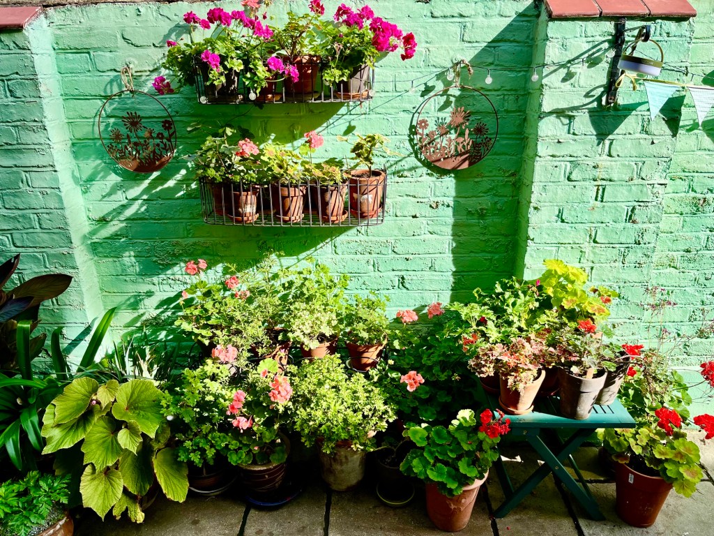 Class 15 2026: a display of plants on a table