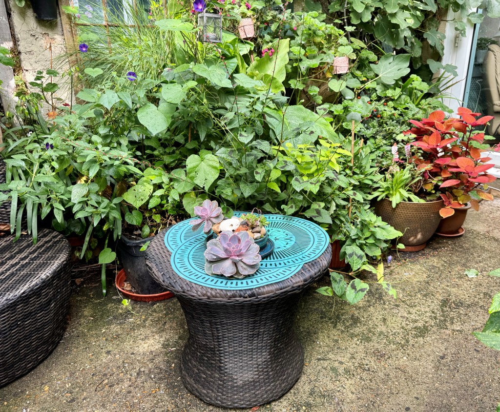 Class 15 2026: a display of plants on a table