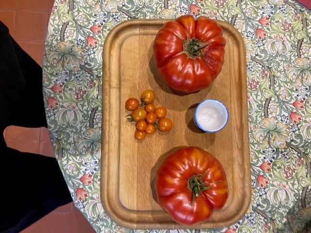 Class 15 2026: a display of plants on a table - 'Little and Large'
