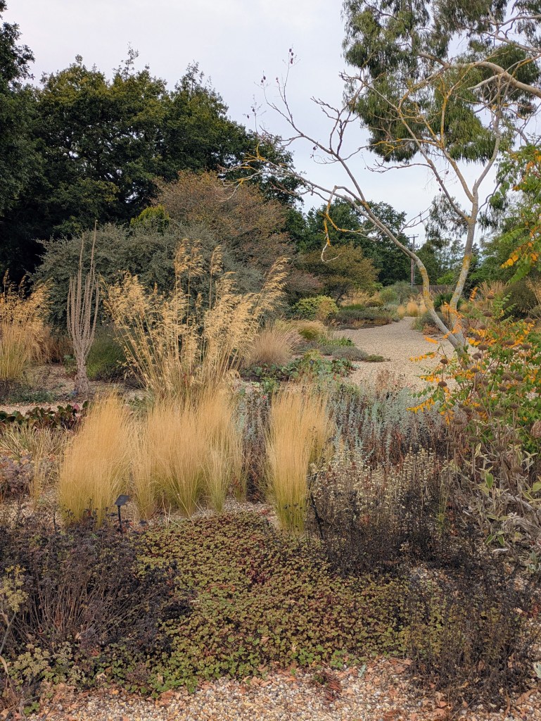 Gravel Garden. Beth Chatto's, September 2026 Gravel Garden. Beth Chatto's, September 2026